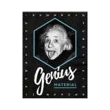 Nostalgic-Art Magnet Einstein Genius 6x8cm