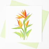 Quilled Greeting Card Bird of Paradise Flower 15x15cm