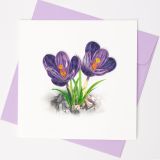 Quilled Greeting Card Purple Crocus Flower 15x15cm
