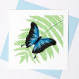 Quilled Greeting Card Ulysses Butterfly 15x15cm
